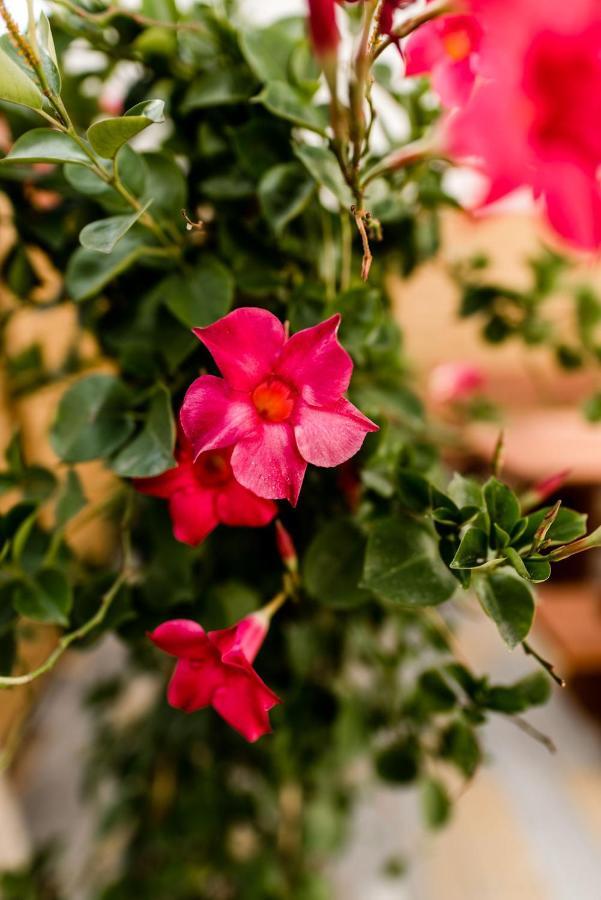 Rosenchalet Leinach エクステリア 写真